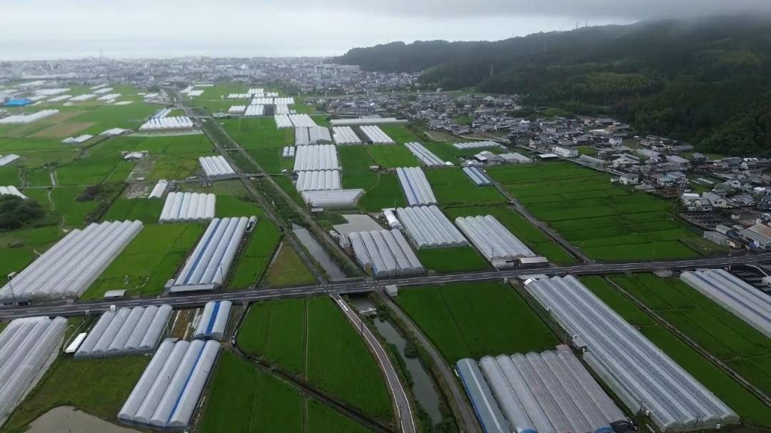 ビニールハウスが並ぶ安芸市の空撮風景