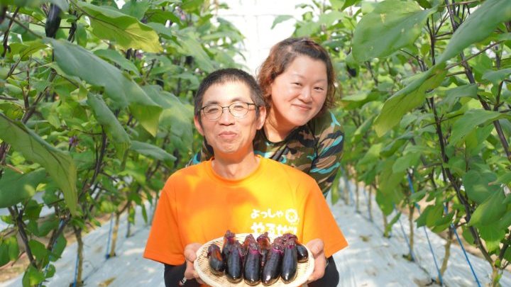 ハウスの中で収穫したナスを持つ夫婦